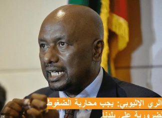 وزير الري الإثيوبي: يجب محاربة الضغوط غير الضرورية على بلدنا وزير الري الإثيوبي: يجب محاربة الضغوط غير الضرورية على بلدنا