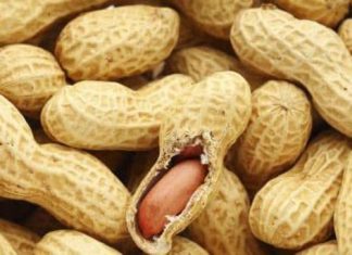 رئيس اتحاد أصحاب العمل: تطوير إنتاج الفول السوداني يقفز بعائداته لـ(6) مليارات دولار رئيس اتحاد أصحاب العمل: تطوير إنتاج الفول السوداني يقفز بعائداته لـ(6) مليارات دولار