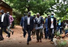 لقاء الحلو ونور .. هل يكون فرصة لإستكمال السلام؟