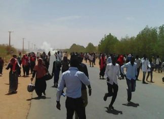 تفلتات في الجريف وإصابة (52) شرطياً واعتقال (73) شخصاً تفلتات في الجريف وإصابة (52) شرطياً واعتقال (73) شخصاً