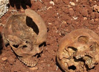 والي وسط دارفور يكشف عن نبش 76 جمجمة في مقابر جماعية والي وسط دارفور يكشف عن نبش 76 جمجمة في مقابر جماعية