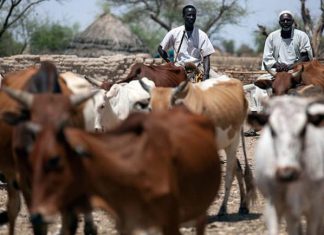 مقتل شخص وإصابة آخر في اشتباكات بغرب كردفان مقتل شخص وإصابة آخر في اشتباكات بغرب كردفان