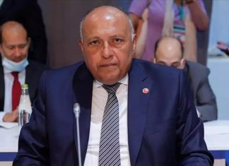 مصر: جهود الاتحاد الإفريقي بشأن سد “النهضة” فشلت مصر: جهود الاتحاد الإفريقي بشأن سد “النهضة” فشلت