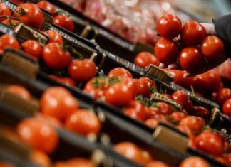 دراسة تثبت فاعلية الطماطم في الحماية من أخطر ما يصيب المخ دراسة تثبت فاعلية الطماطم في الحماية من أخطر ما يصيب المخ