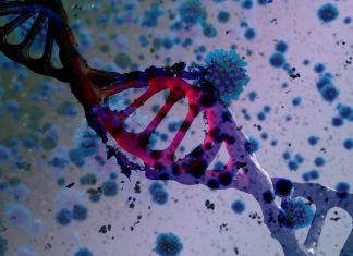 من هم أكثر عرضة للإصابة مجددًا بكورونا بسبب “دلتا”؟ من هم أكثر عرضة للإصابة مجددًا بكورونا بسبب “دلتا”؟