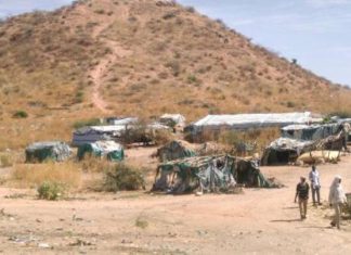 إنتاج أكثر من “13” كيلو ذهب من مصنع جبل عامر بمعالجة مخلفات التعدين إنتاج أكثر من “13” كيلو ذهب من مصنع جبل عامر بمعالجة مخلفات التعدين