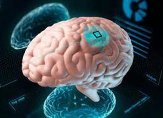 غرسة دماغية تمكن رجلا من التكلم بعد أن فقد القدرة على النطق لمدة 15 عاما غرسة دماغية تمكن رجلا من التكلم بعد أن فقد القدرة على النطق لمدة 15 عاما