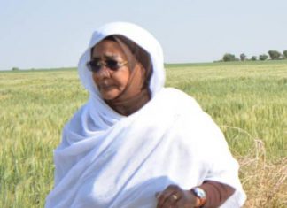 وصول 45 طن من تقاوى صغار المزارعين لولاية النيل الابيض وصول 45 طن من تقاوى صغار المزارعين لولاية النيل الابيض