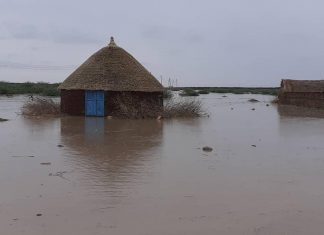 مياه الأمطار تغمر أجزاء واسعة من الفاو مياه الأمطار تغمر أجزاء واسعة من الفاو