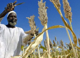 احتكاكات بين الرعاه والمزارعين بالنيل الازرق احتكاكات بين الرعاه والمزارعين بالنيل الازرق