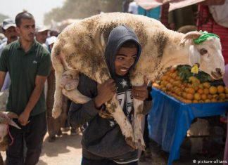 منظمات صحية تحذر من خطورة الاوضاع الصحية في ظل تفشي الموجة الثالثة من كورونا منظمات صحية تحذر من خطورة الاوضاع الصحية في ظل تفشي الموجة الثالثة من كورونا