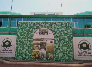 263.4 مليون جنيه جملة مساهمات إعمار مشروع الجزيرة 263.4 مليون جنيه جملة مساهمات إعمار مشروع الجزيرة