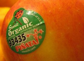 ما هي حمية المانجو… كيف تساعدك على خسارة الوزن خلال أسبوع؟ ما هي حمية المانجو... كيف تساعدك على خسارة الوزن خلال أسبوع؟