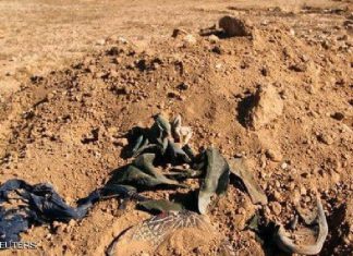 فريق دولي يوصي بنبش المقابر الجماعية بواسطة لجنة دولية فريق دولي يوصي بنبش المقابر الجماعية بواسطة لجنة دولية