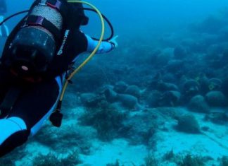 متحف يوناني تحت الماء يتيح للزائرين “الغوص في التاريخ” متحف يوناني تحت الماء يتيح للزائرين "الغوص في التاريخ"