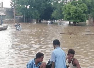 ولاية الجزيرة تعلن عن وفاة اثنين من المواطنين وتضرر 219 أسرة جراء الأمطار ولاية الجزيرة تعلن عن وفاة اثنين من المواطنين وتضرر 219 أسرة جراء الأمطار