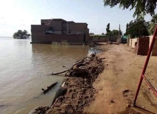 تدخلات عاجلة وتقوية “التروس” تحسبا للفيضان بـ”الكلاكلة” تدخلات عاجلة وتقوية “التروس” تحسبا للفيضان بـ”الكلاكلة”