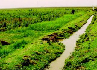 شكاوى من غرق مساحات كبيرة بالجزيرة شكاوى من غرق مساحات كبيرة بالجزيرة