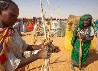 نزوح أعداد كبيرة من المواطنين من محليتي طويلة ودار السلام بسبب هجمات مسلحين نزوح أعداد كبيرة من المواطنين من محليتي طويلة ودار السلام بسبب هجمات مسلحين