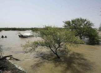 “بـ24 سم”…الخرطوم تتجاوز منسوب الفيضان “بـ24 سم”…الخرطوم تتجاوز منسوب الفيضان