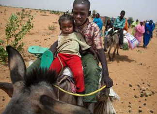 وفاة “4” أطفال نازحون بعد فرارهم من قرى محلية طويلة ودعوات للإسراع في انقاذ الباقين وفاة “4” أطفال نازحون بعد فرارهم من قرى محلية طويلة ودعوات للإسراع في انقاذ الباقين