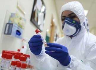 كورونا: المصابين سابقا بالفيروس وغير الملقحين عرضة بأكثر من الضعف للإصابة مجددا كورونا: المصابين سابقا بالفيروس وغير الملقحين عرضة بأكثر من الضعف للإصابة مجددا