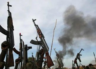 هجوم مسلح على قرية بجنوب دارفور هجوم مسلح على قرية بجنوب دارفور