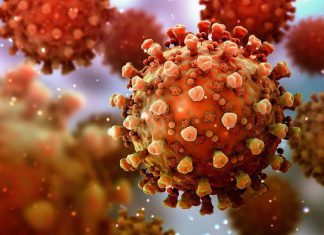 الكشف عن أسماء متحورات “كورونا” الجديدة ! الكشف عن أسماء متحورات "كورونا" الجديدة !