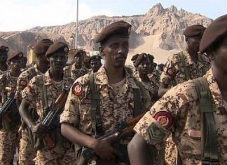 هدوء الأوضاع الأمنية في مدينة المقينص الحدودية هدوء الأوضاع الأمنية في مدينة المقينص الحدودية