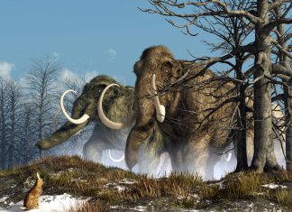 ثاني أكسيد الكربون: ما الذي حدث قبل 40 مليون سنة؟ ثاني أكسيد الكربون: ما الذي حدث قبل 40 مليون سنة؟