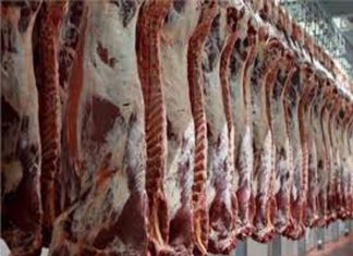 تجاوزات في تصدير (شحنة لحوم) إلى السعودية تجاوزات في تصدير (شحنة لحوم) إلى السعودية