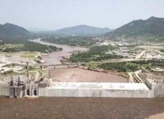 السودان : خروج أعداد كبيرة من التماسيح بسبب سد النهضة السودان : خروج أعداد كبيرة من التماسيح بسبب سد النهضة