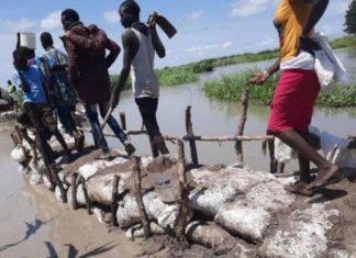 الفيضانات في جنوب السودان.. الثعابين تفاقم الخراب والجوع والأمراض الفيضانات في جنوب السودان.. الثعابين تفاقم الخراب والجوع والأمراض