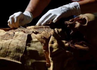 تم العثور على مومياء غامضة في إيطاليا…فيديو تم العثور على مومياء غامضة في إيطاليا...فيديو