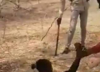 سقوط قتلى وجرحى أثناء تنفيذ القبض على مغتصبي فتاة النيل الأزرق سقوط قتلى وجرحى أثناء تنفيذ القبض على مغتصبي فتاة النيل الأزرق