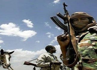 مواطنو منطقة جابر بمحلية كتم يطالبون الحكومة بتوفير الأمن وحماية المواطنين مواطنو منطقة جابر بمحلية كتم يطالبون الحكومة بتوفير الأمن وحماية المواطنين