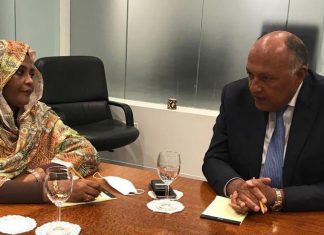 مباحثات ثنائية بين وزيري الخارجية المصري والسوداني في القاهرة مباحثات ثنائية بين وزيري الخارجية المصري والسوداني في القاهرة