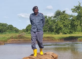 انخفاض كبير ومتواصل في منسوب النيل الأزرق بمدينة سنجة انخفاض كبير ومتواصل في منسوب النيل الأزرق بمدينة سنجة