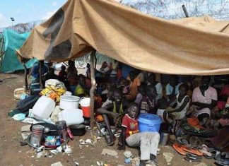 كيف يرى شباب المقاومة بجنوب كردفان حل مشكلة الحرب والتنمية؟ كيف يرى شباب المقاومة بجنوب كردفان حل مشكلة الحرب والتنمية؟