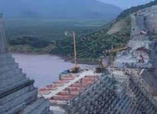 الخارجية: ننتظر تصور الجزائر لحل أزمة سد النهضة الخارجية: ننتظر تصور الجزائر لحل أزمة سد النهضة