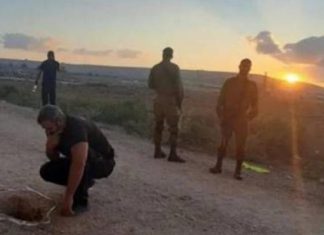 تفاصيل جديدة عن أسري سجن “جلبوع” تفاصيل جديدة عن أسري سجن "جلبوع"