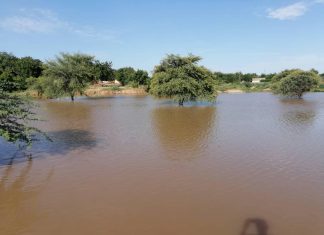 لجنة الفيضان: نهر الدندر يسجل مناسيب (حرجة) لجنة الفيضان: نهر الدندر يسجل مناسيب (حرجة)