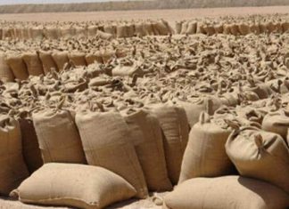 بدء المرحلة الثانية لموقع سوق محصولات الأبيض الجديد بدء المرحلة الثانية لموقع سوق محصولات الأبيض الجديد