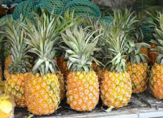 ماذا يتغير في جسمك عند تناول الكثير من الأناناس ومتى يكون ساما؟ ماذا يتغير في جسمك عند تناول الكثير من الأناناس ومتى يكون ساما؟