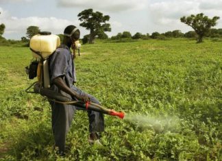 وصول كميات من المبيدات لمكافحة الآفات الزراعية بشمال كردفان وصول كميات من المبيدات لمكافحة الآفات الزراعية بشمال كردفان