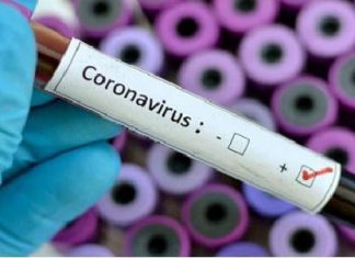 حالة وفاة بكورونا مع (11) حالة مؤكدة و (115) حالة نشطة حالة وفاة بكورونا مع (11) حالة مؤكدة و (115) حالة نشطة