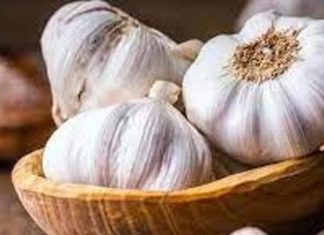 الثوم “كنز الفوائد” الثوم "كنز الفوائد"