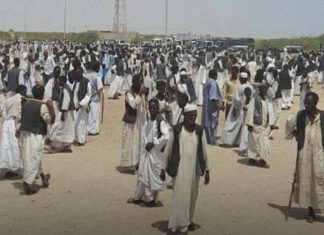 مجلس البجا يعلن التصعيد مجلس البجا يعلن التصعيد