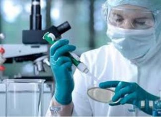 (7)حالات وفاة بكورونا و (48) حالة مؤكدة (7)حالات وفاة بكورونا و (48) حالة مؤكدة