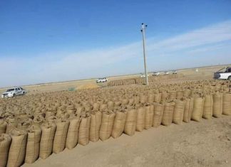 التجارة والتموين: وصول 10 آلاف طن قمح من الشمالية إلى الخرطوم التجارة والتموين: وصول 10 آلاف طن قمح من الشمالية إلى الخرطوم